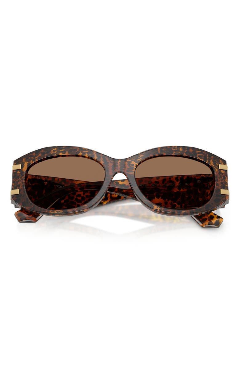 Dolce&Gabbana 55mm Oval Sunglasses, Alternate, color, Leo Transparent / Dark Brown