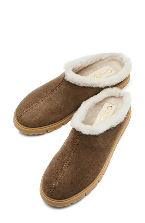 La Canadienne Eva Shearling Lined Slipper In Multi
