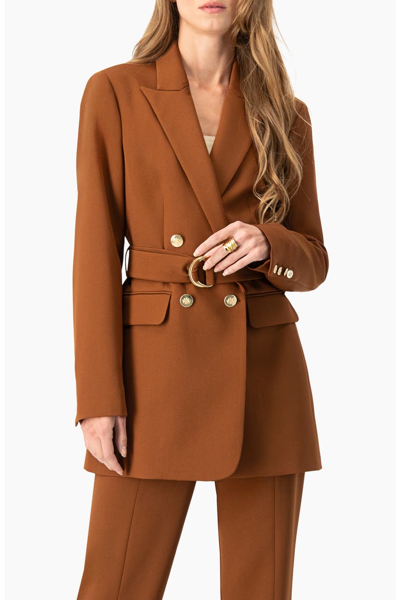 Double-Breasted Wrap Blazer with Waist Tie, Main, color, Brown