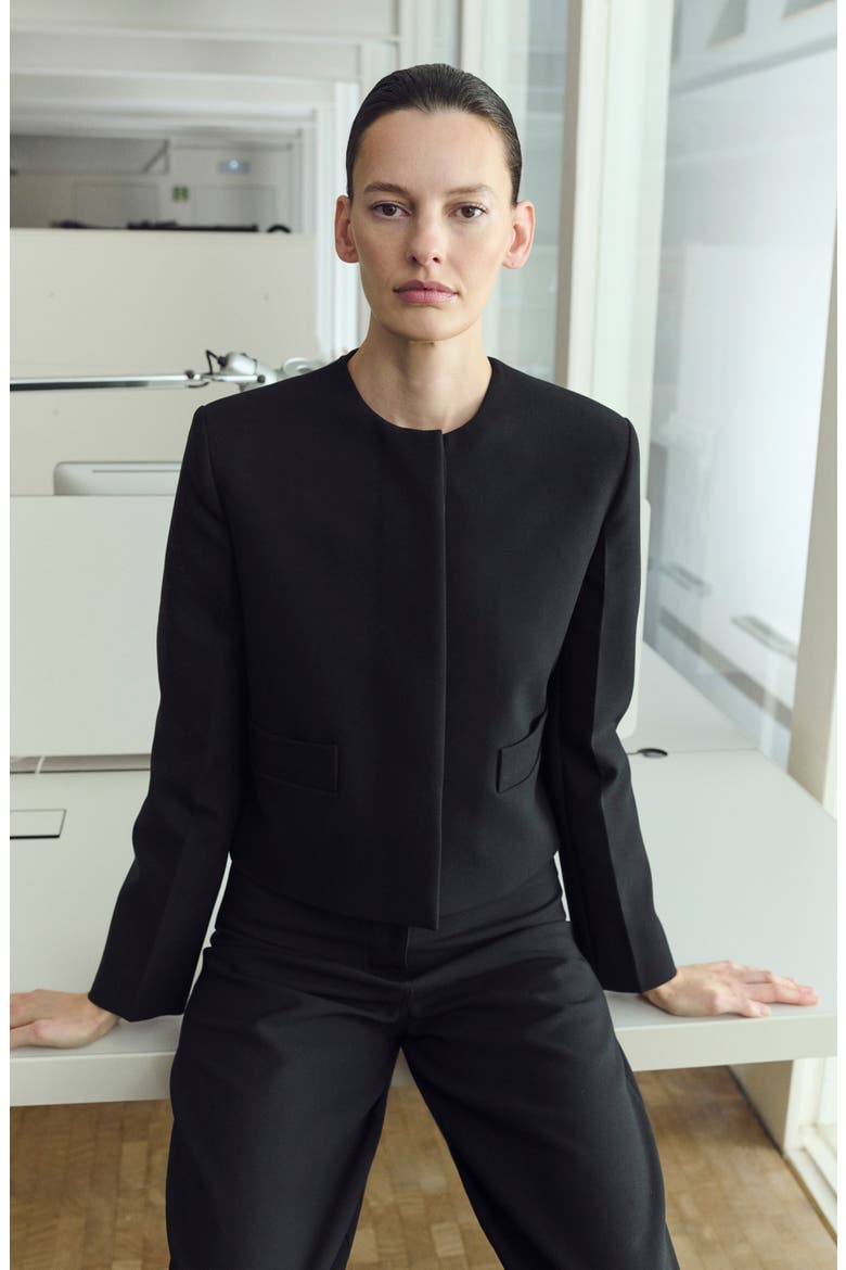 Americana Louis Collarless Jacket, Alternate, color, BLACK