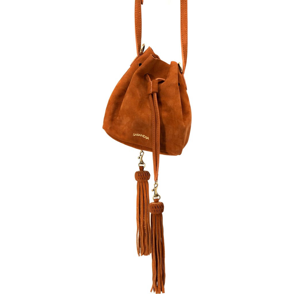 Sabandija Lechuza Suede Crossbody Bag In Brown