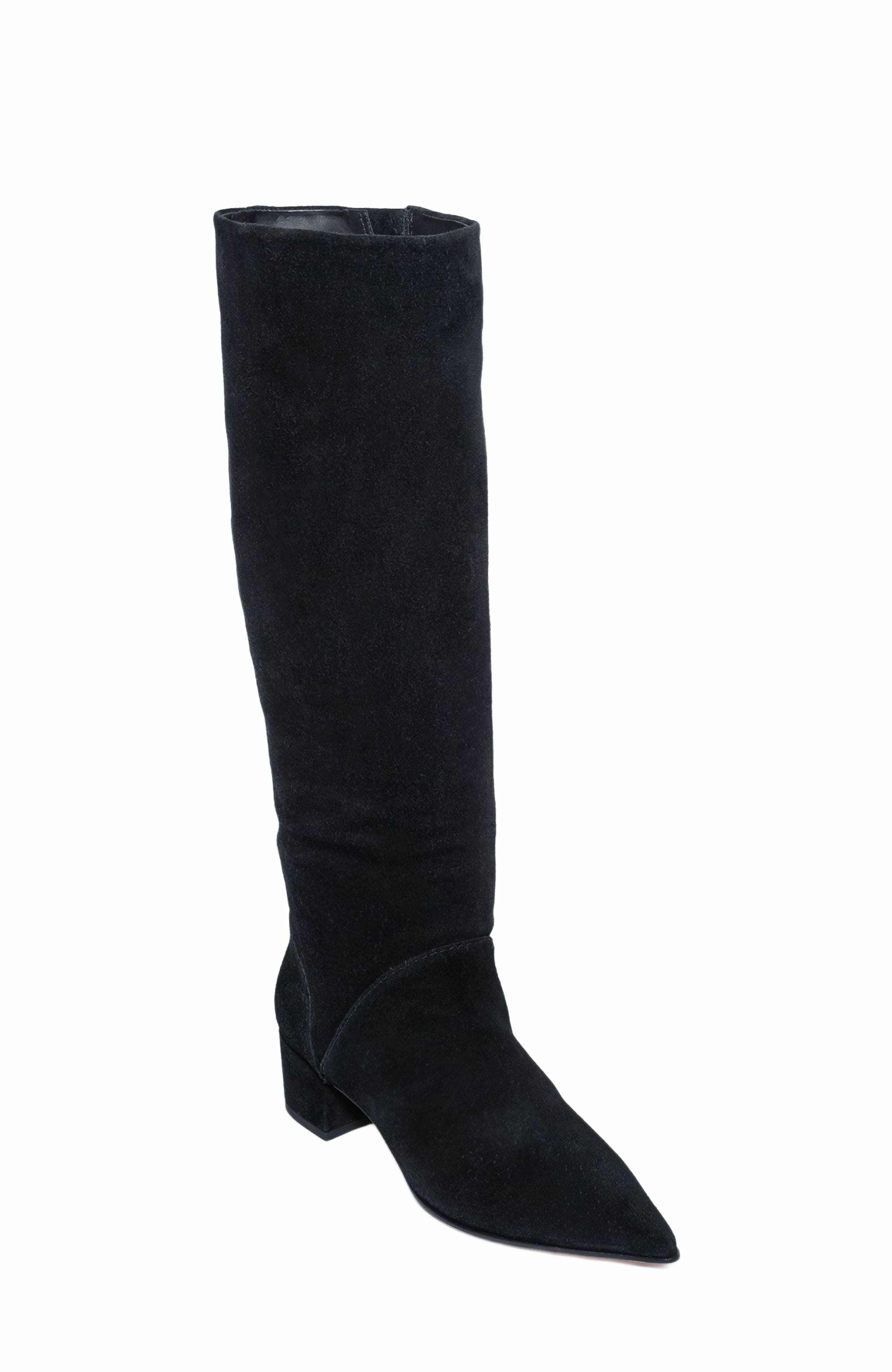 Bernardo Footwear Milano Knee-High Pointed Toe Boot, Alternate, color, 