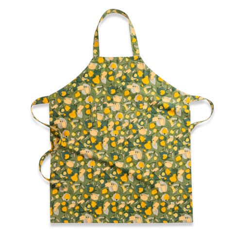 Fruit Apron