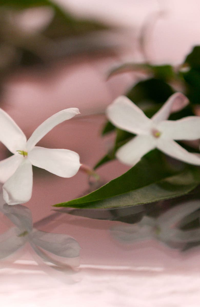 Gucci Bloom Eau de Parfum Set, Alternate, color,