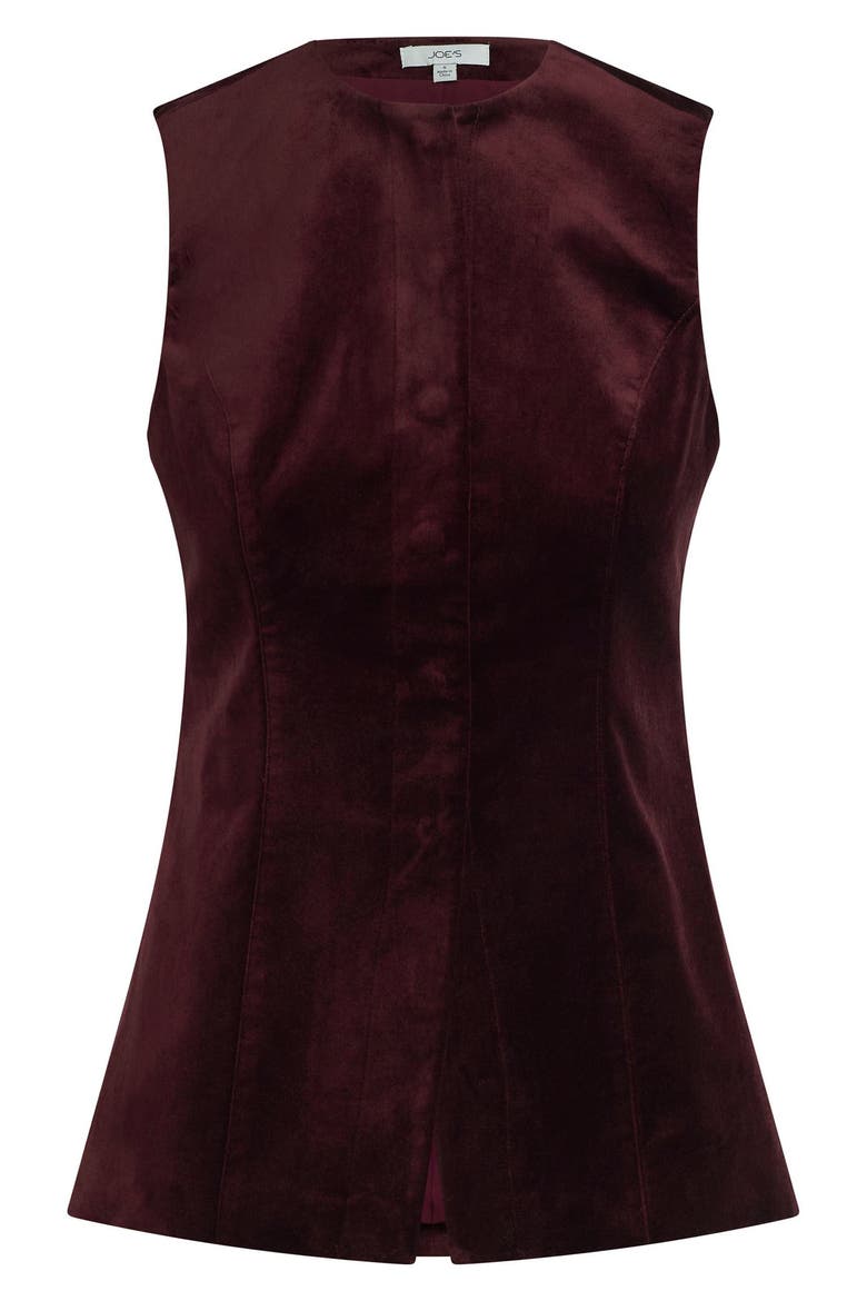 The Velveteen Sleeveless Tunic Top, Alternate, color, CABERNET
