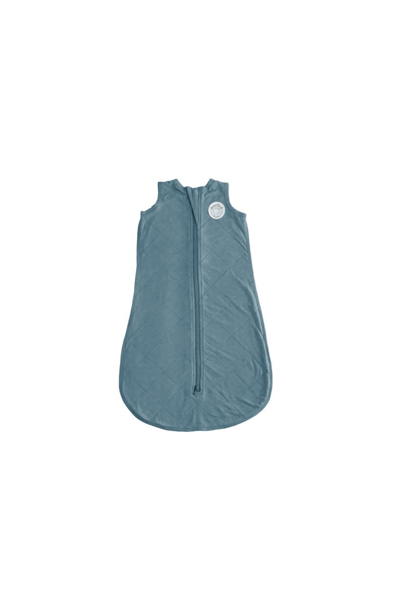 Classic Sleep Sack, Main, color, Ocean Blue