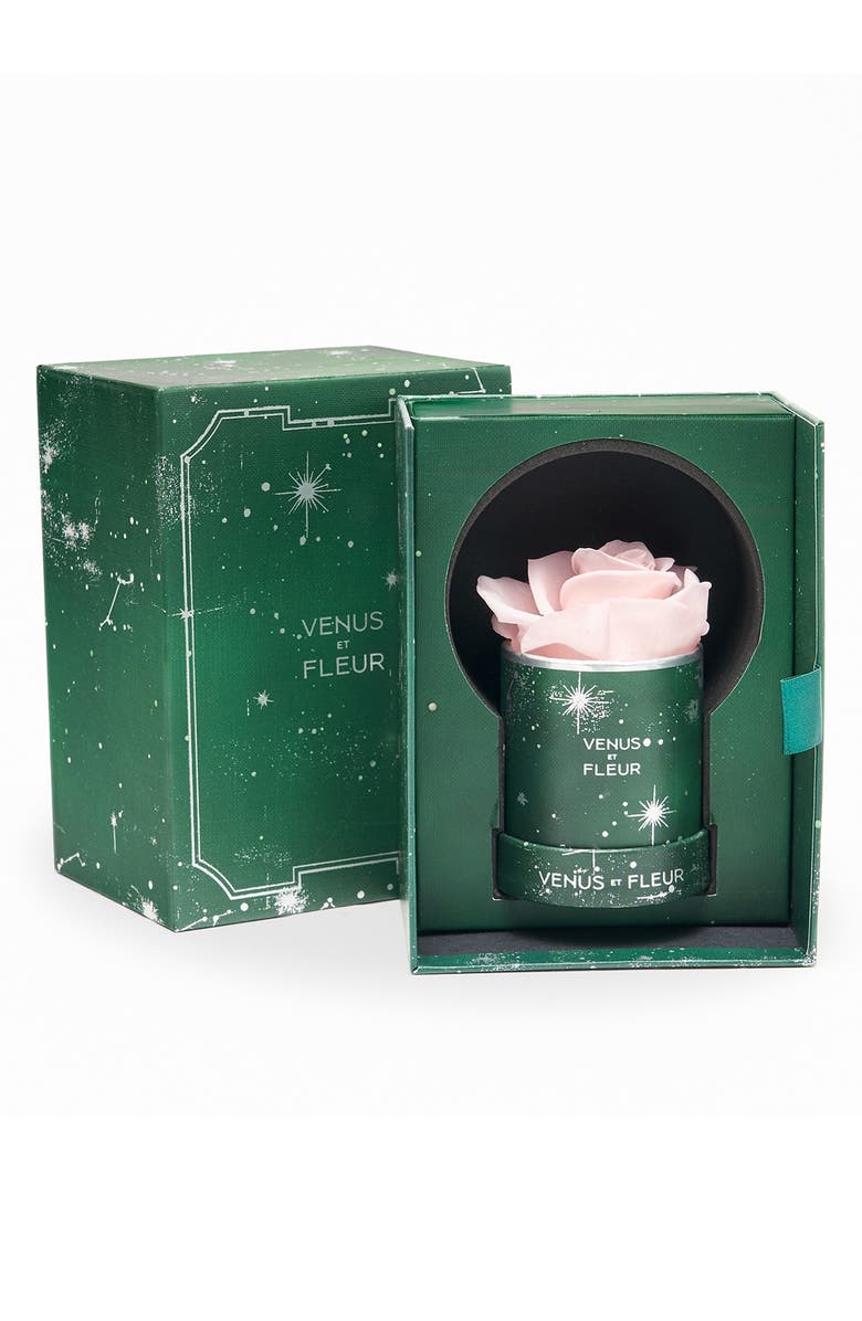 Venus ET Fleur Mini Round Holiday Zodiac Pink Eternity Rose<sup>®</sup>, Alternate, color, Blush