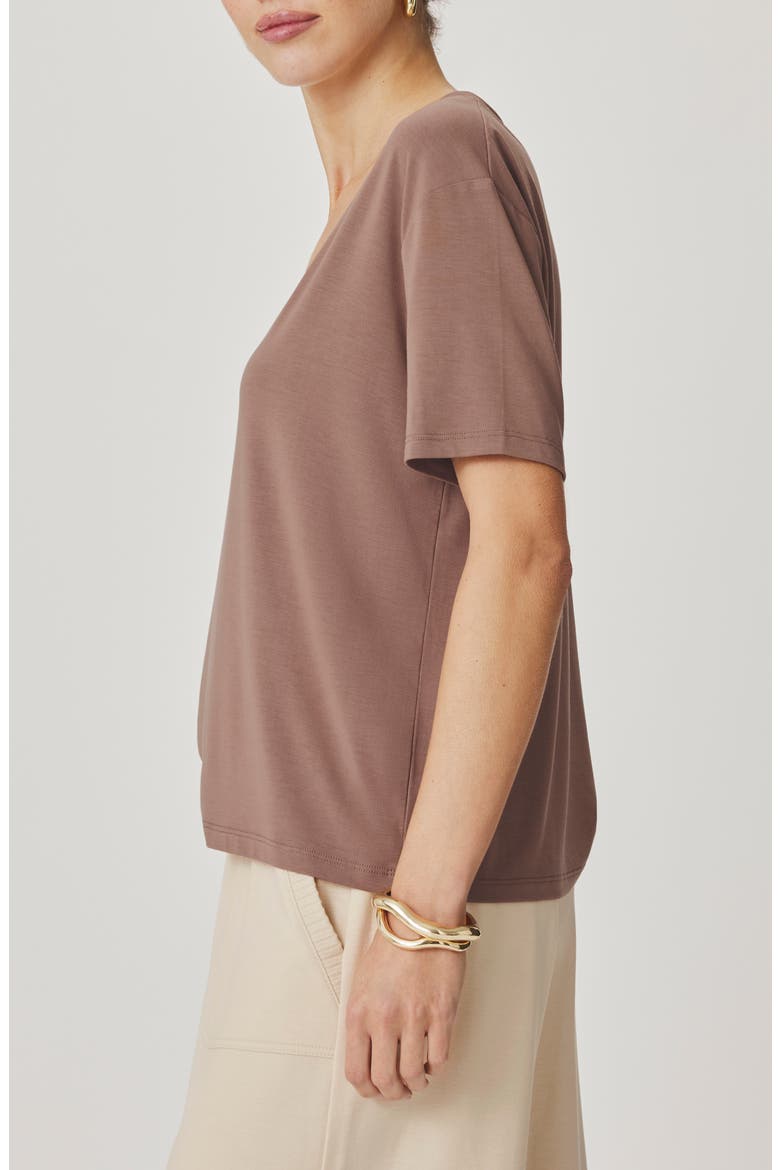 Kacey V-Neck Short Sleeve T-Shirt, Alternate, color, WICKER BEIGE