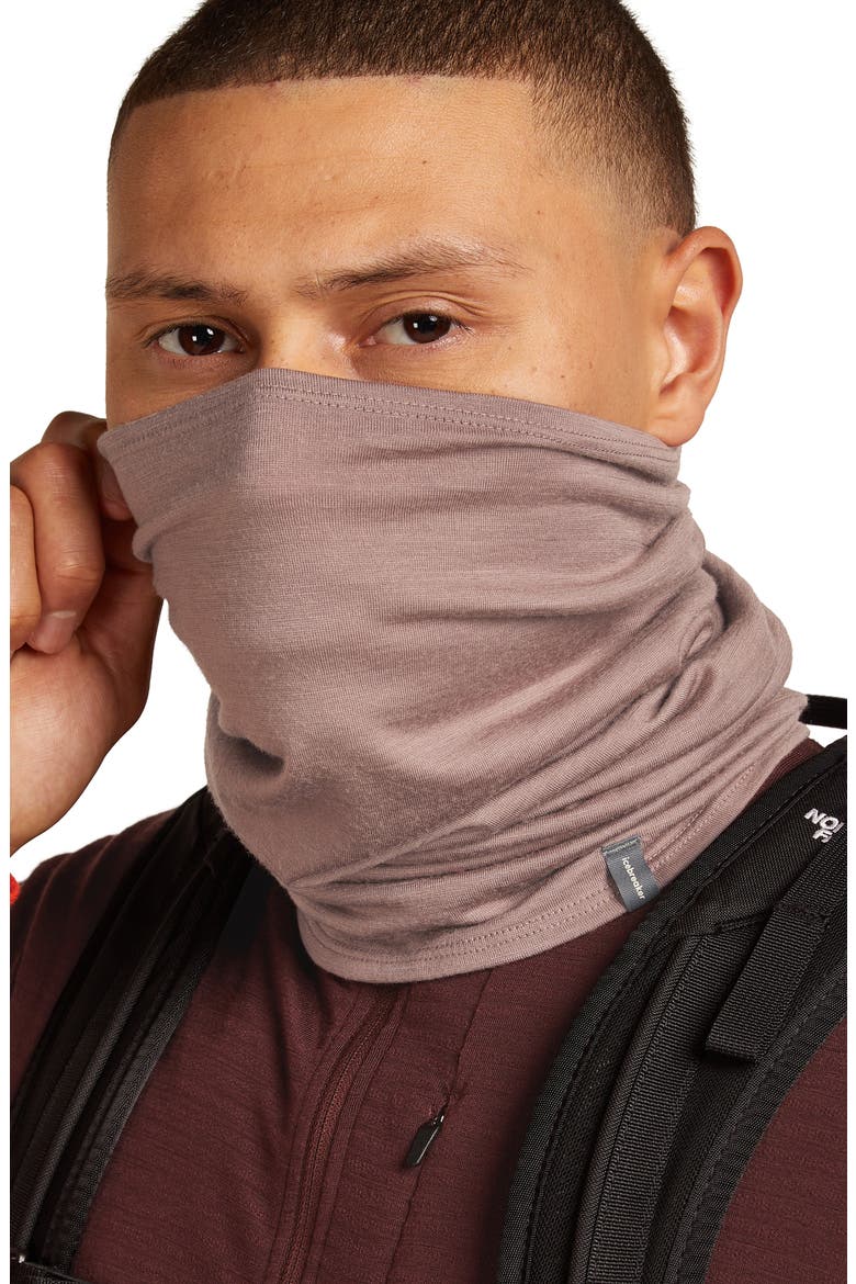 Oasis Flexi Chute Neck Gaiter, Alternate, color, SUMMIT