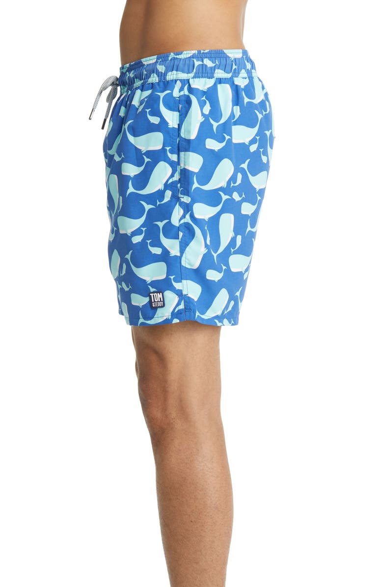 Tom 
Teddy Whale Print Swim Trunks, Alternate, color, Navy 
Aqua