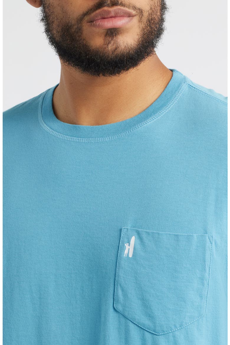 Born to Surf Cotton Blend Pocket T-Shirt, Alternate, color, HAZE
