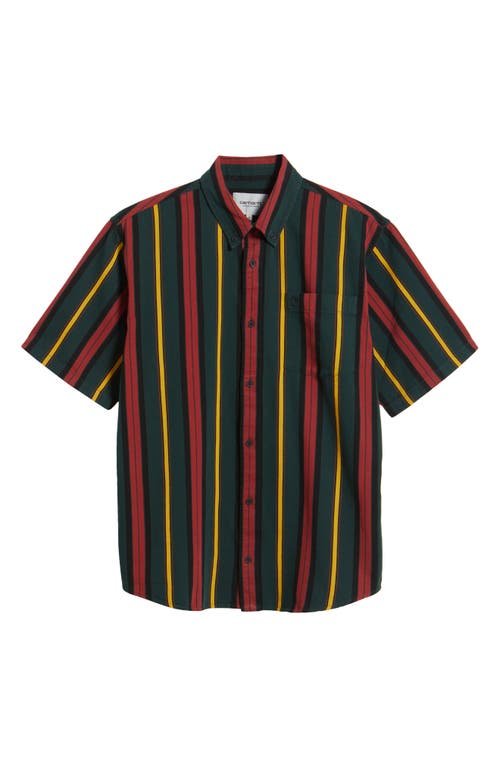 Carhartt Work In Progress Jarrell Stripe Short Sleeve Cotton Button-down Shirt In Jarrell Stripe/conifer