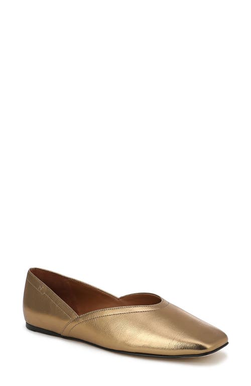 Sarto By Franco Sarto Adalina Ballet Flat In Brown