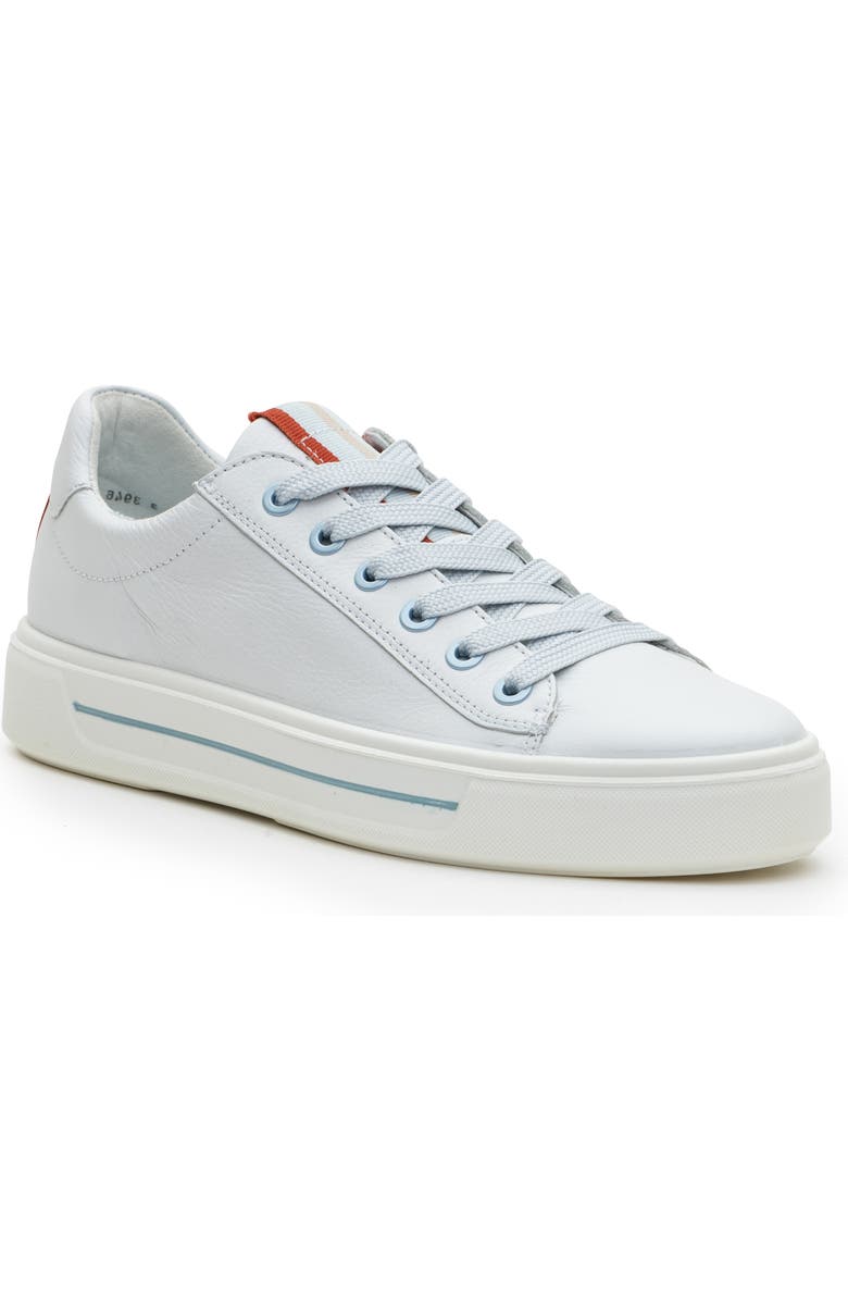 ara Camden Sneaker, Main, color, White Cervocalf