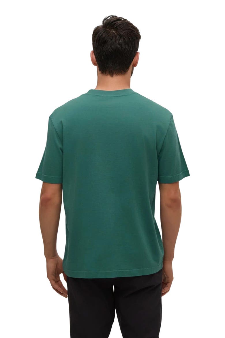 Regenerative Lake Life Portal T-Shirt, Alternate, color, Tidal Teal/Meteorite Black