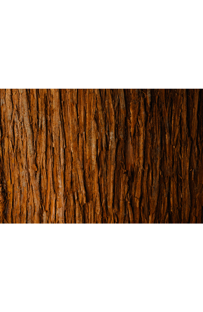 Delfino Oud Scented Insert Refill for Car Diffuser, Alternate, color, White