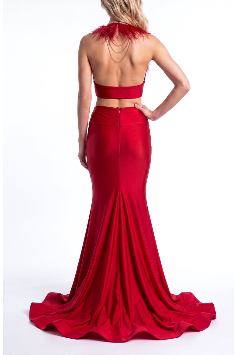 Feather-Trim Two-Piece Mermaid Evening Gown, Alternate, color, Red