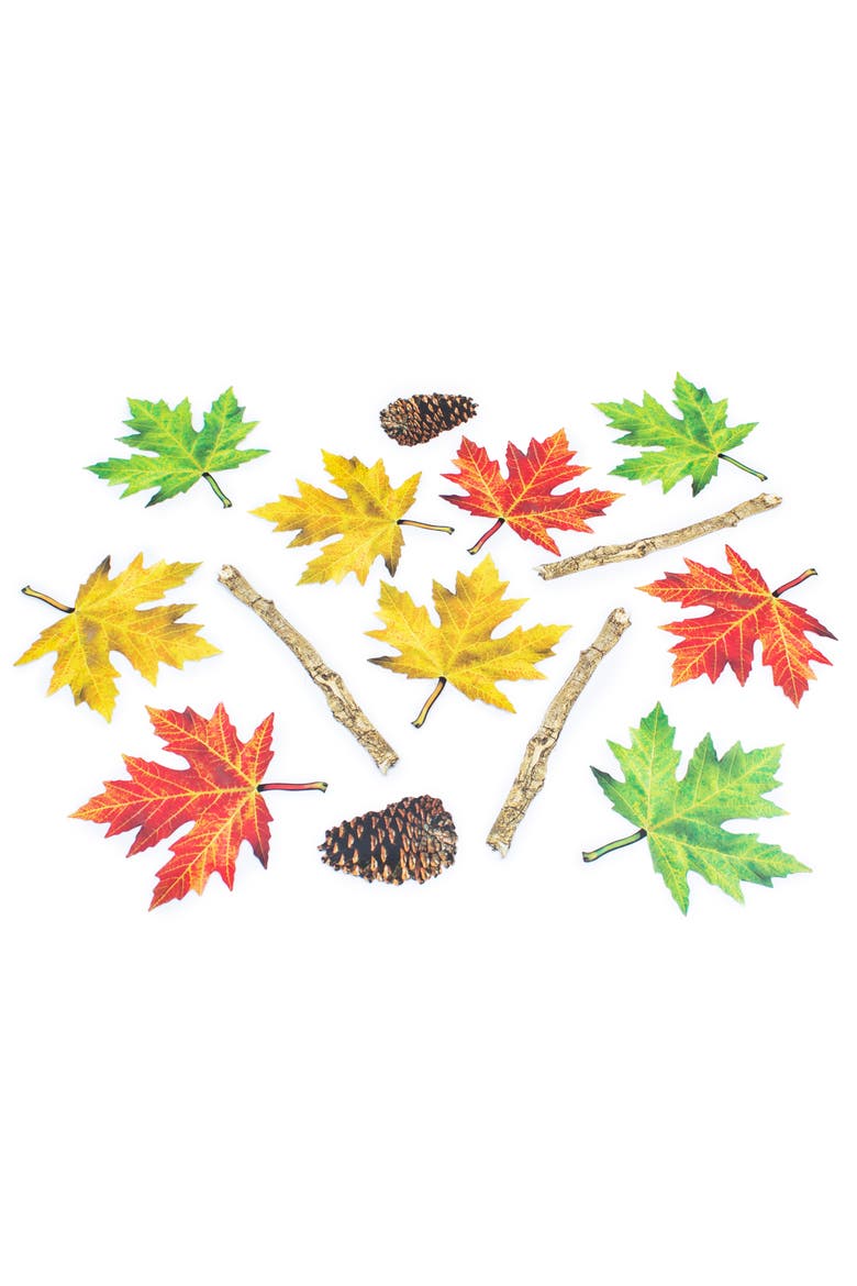 Nature Trail Educational Floor Stickers 25pcs, Alternate, color, Multicolored