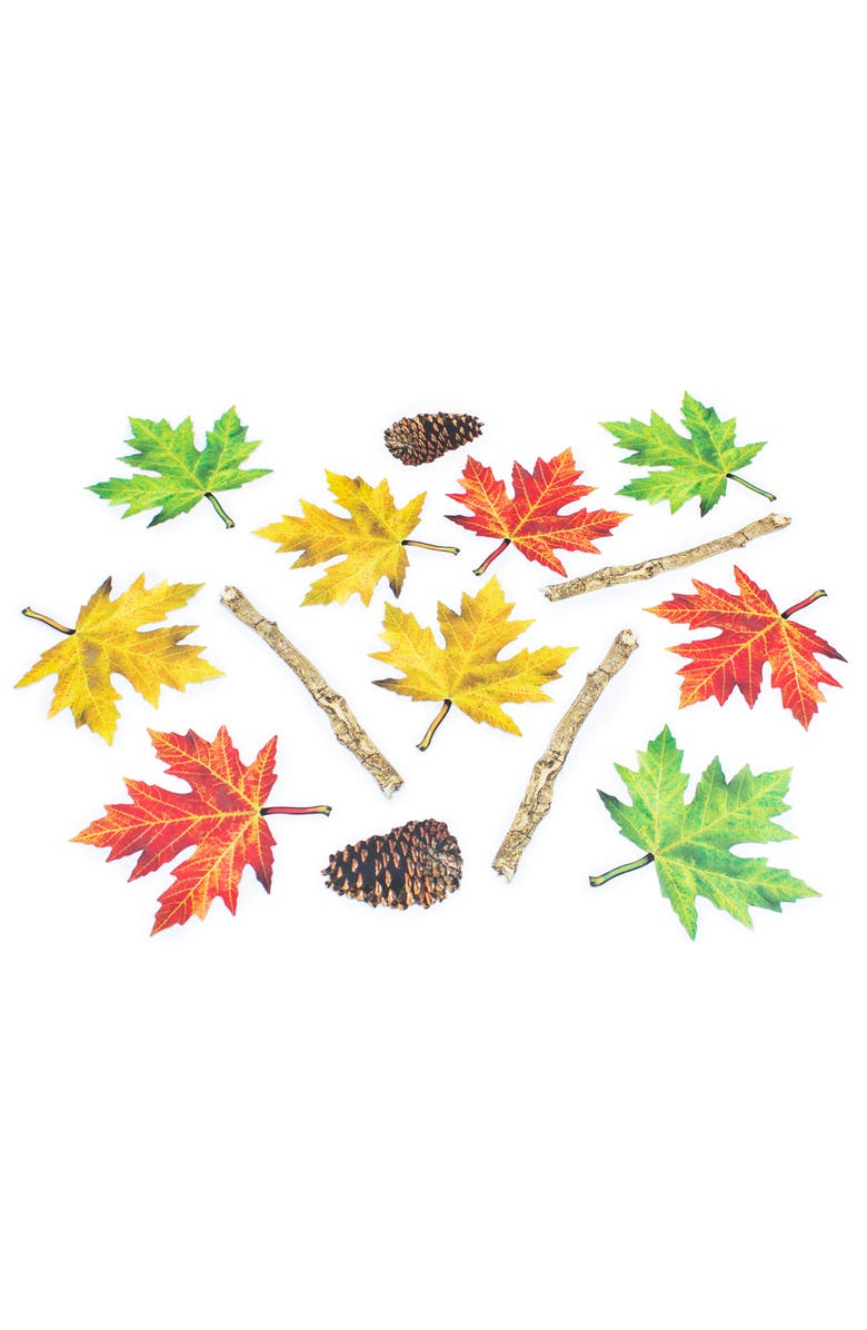 Junior Learning Nature Trail Educational Floor Stickers 25pcs, Alternate, color, Multicolored