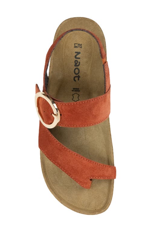 Naot Baltimore Slingback Sandal In Spice Nubuck