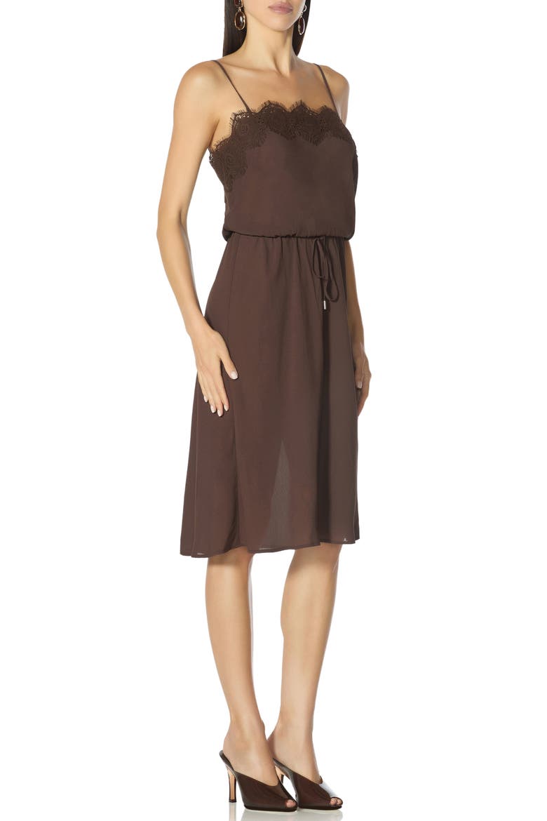 Tabitha Lace Trim Midi Dress, Alternate, color, ESPRESSO