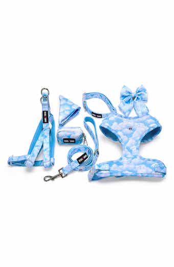 REBEL DAWG 7-Piece Dog Walking Set