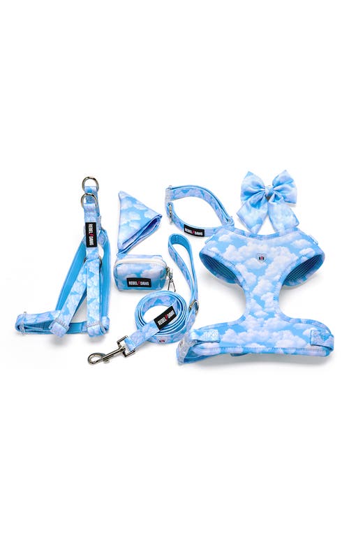 Rebel Dawg 7-piece Dog Walking Set In Blue