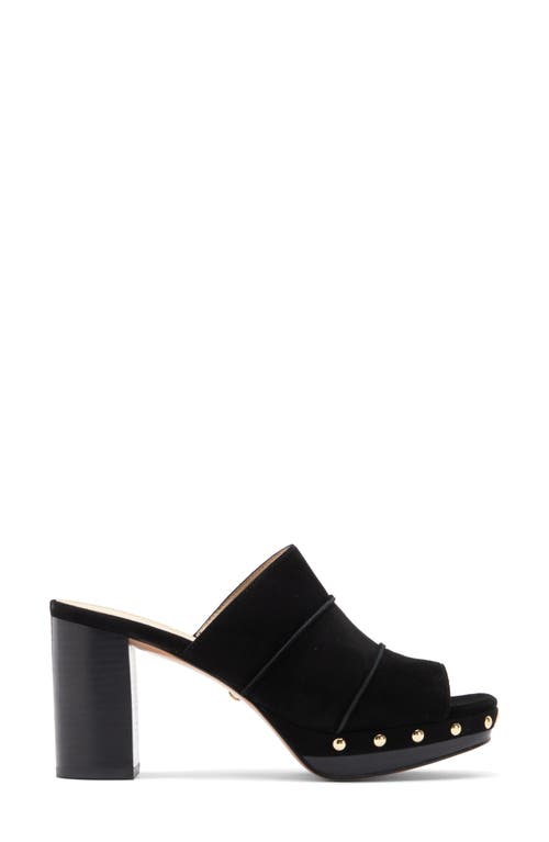 Shop Pelle Moda Amery Sandal