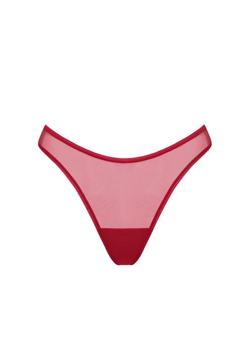 The Thong (Mesh)