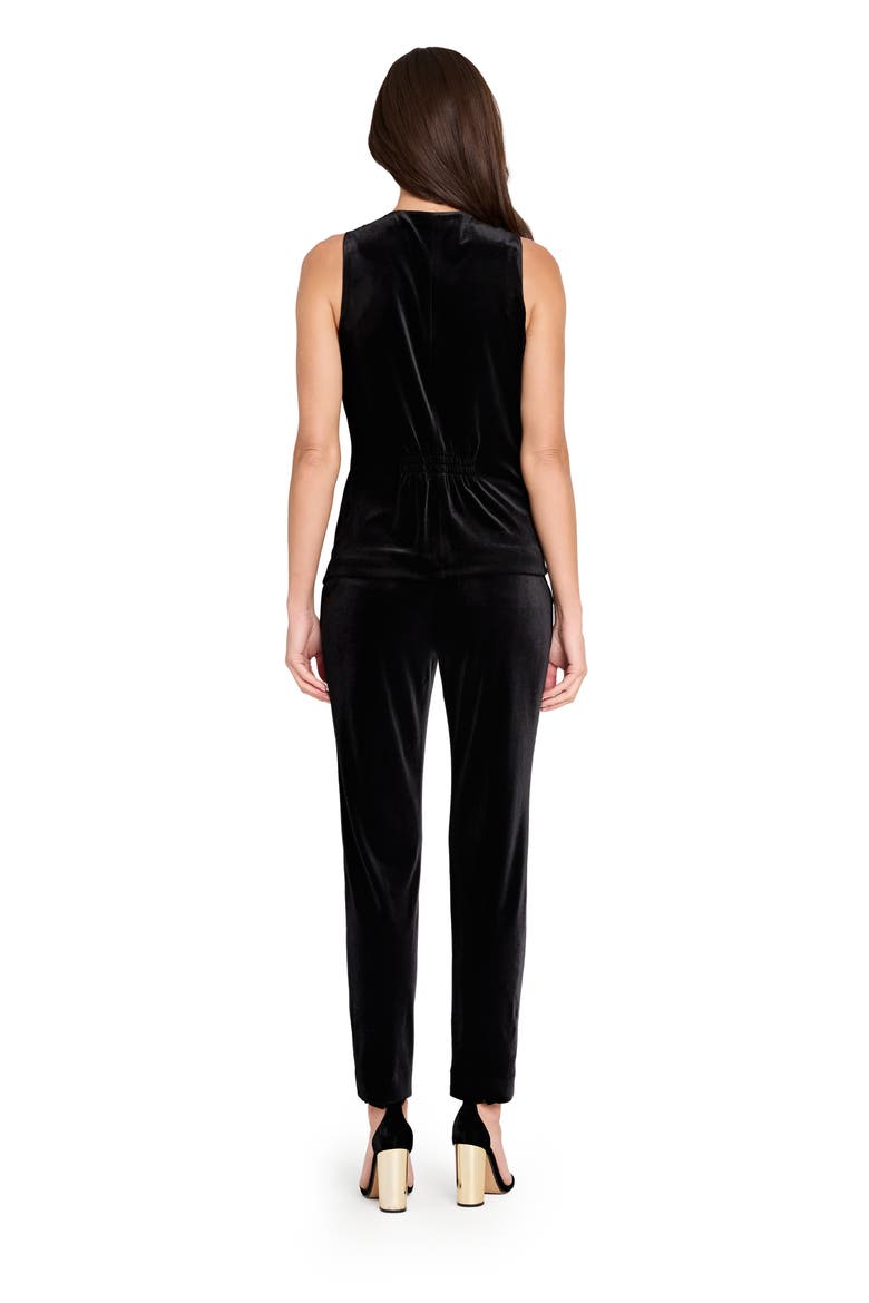 Velvet Straight Leg Pants, Alternate, color, BLACK