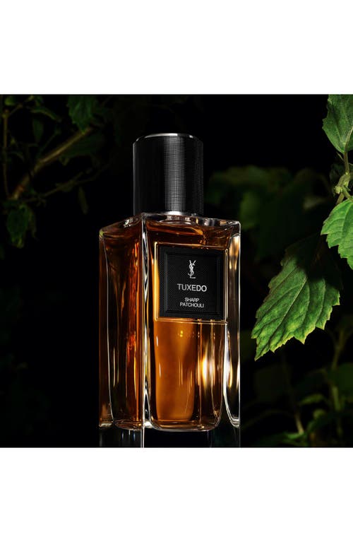 Saint Laurent Yves  Collection Essential Discovery In Transparent