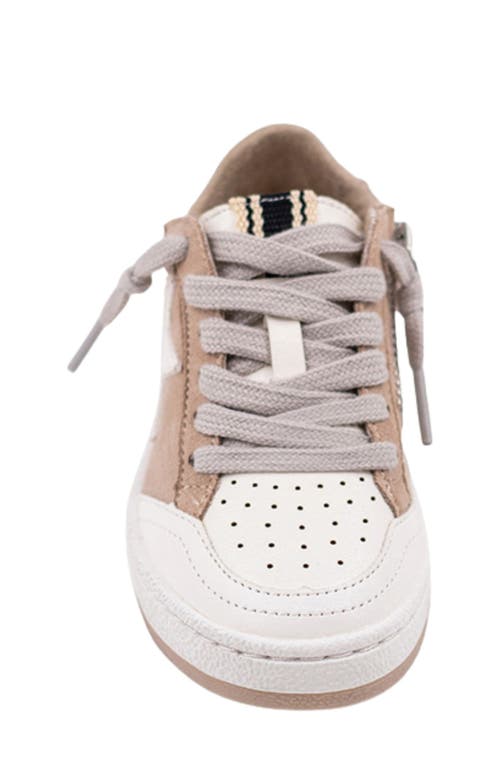 Shushop Kids' Mini Paz Sneaker In Multi