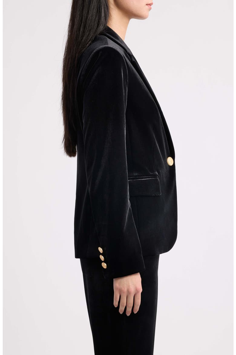 Velvet Blazer, Alternate, color, BLACK