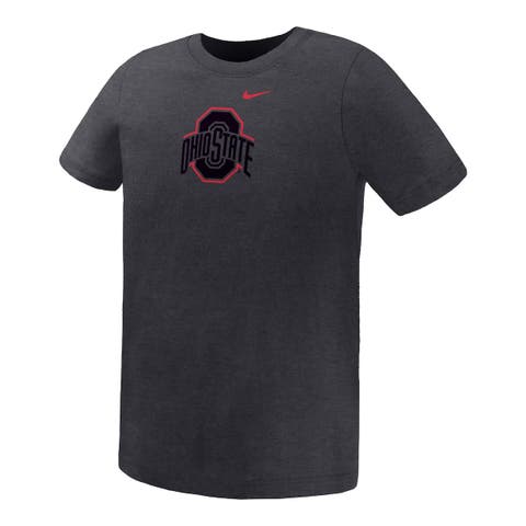 Preschool Nike Charcoal Ohio State Buckeyes Legend Color Pop Performance T-Shirt