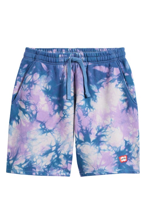 Icecream Villain Shorts In Purple