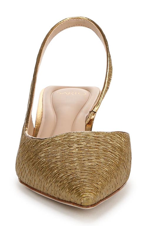 Sarto By Franco Sarto Devin Kitten Heel Slingback Pump In Gold