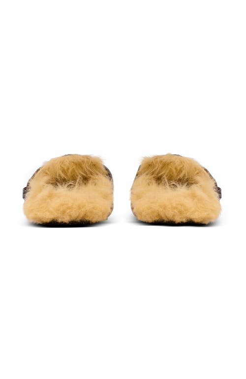 Balmain Anthem Leopard Print Ponyskin Leather And Faux Fur Mules In Brown