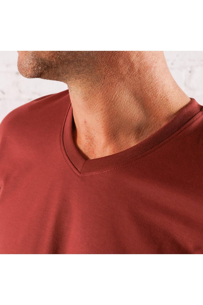Everyday Tee with V-Neck, Alternate, color, Crimson
