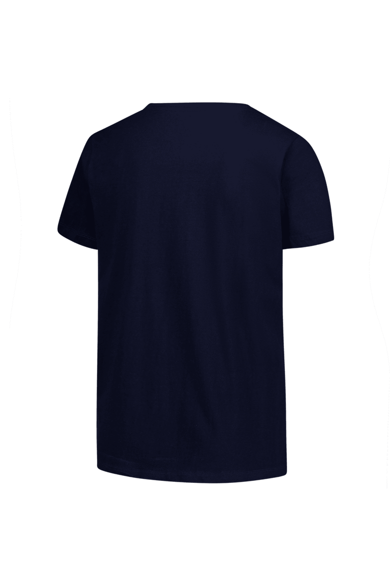 Women's Fanatics Navy New England Patriots Plus Size Arch Over Logo V-Neck T-Shirt, Alternate, color, Navy
