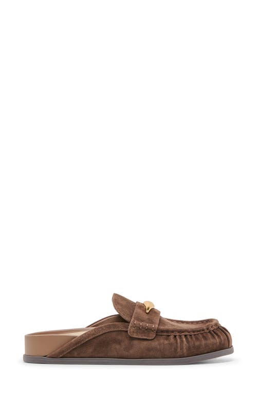 Dolce Vita Jodero Flats Dark Brown Suede