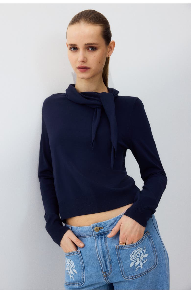 H&M Scarf-collar Jumper, Alternate, color, Navy Blue