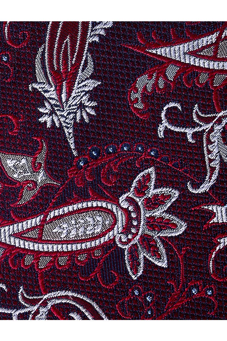 Big & Tall Paisley Tie, Alternate, color, BURGUNDY