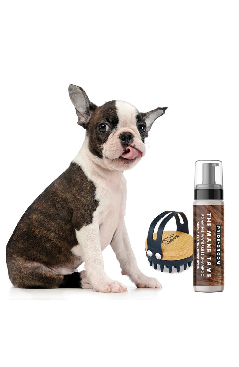 PRIDE+GROOM The Mid Groom Kit - Waterless Foaming Dog & Cat Shampoo With Silicone Dog Grooming Brush With Hand Strap, Alternate, color, Brown