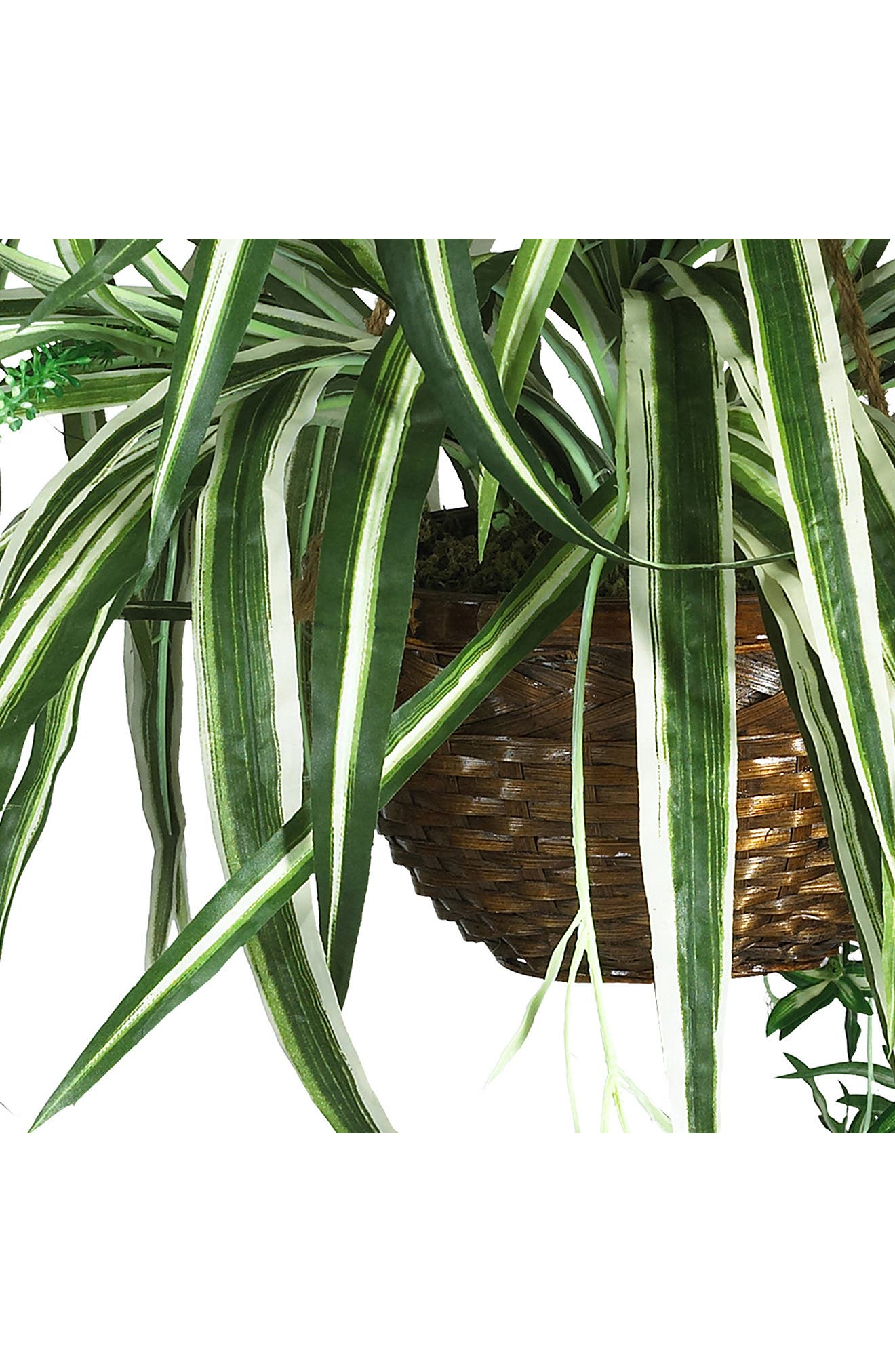 NEARLY NATURAL Spider Hanging Basket Artificial Plant | Nordstrom