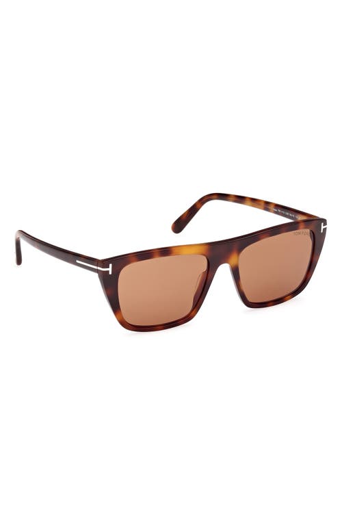 Tom Ford Aslan 56mm Rectangular Sunglasses In Brown