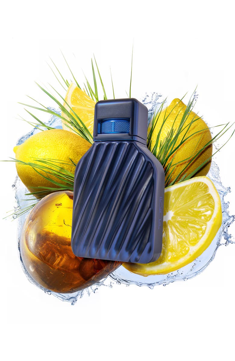 TUMI Deluxe Mini Coffret Set $75 Value, Alternate, color, 