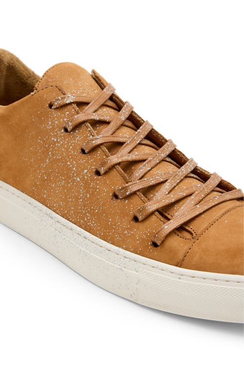 John Varvatos Reed Low Top Sneaker In Brown