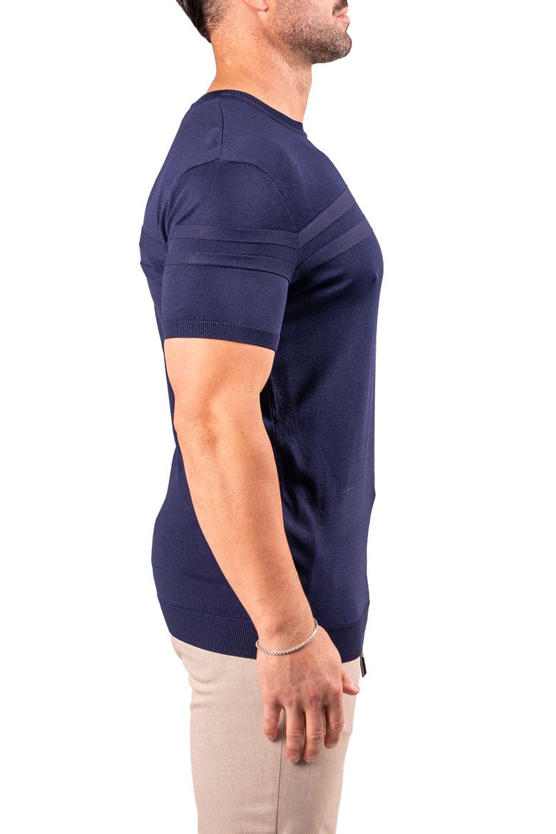 Stripe Short Sleeve Sweater, Alternate, color, BLUE
