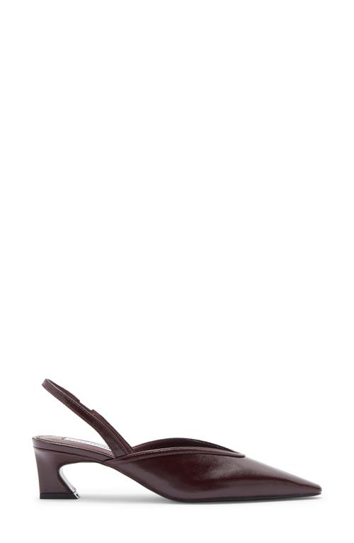 Steve Madden Haleigh Slingback Pump In Burgundy