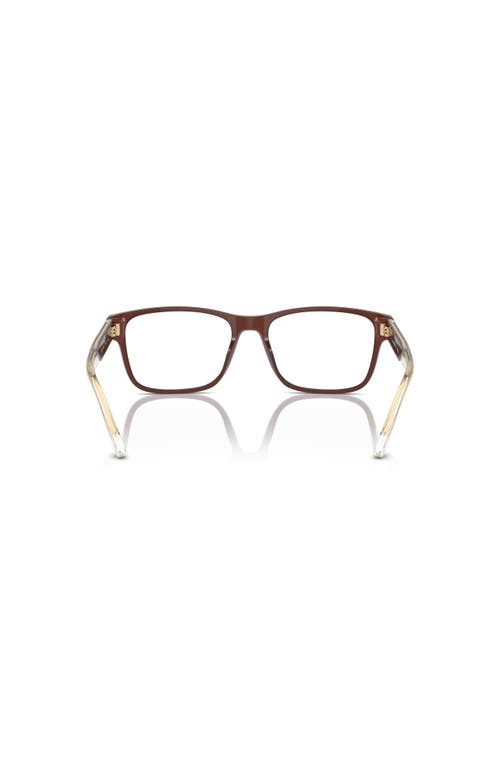 Emporio Armani 53mm Rectangle Optical Glasses In Brown